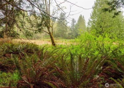 313 Weston Parkway , Sequim, WA 98382 - Photo 20