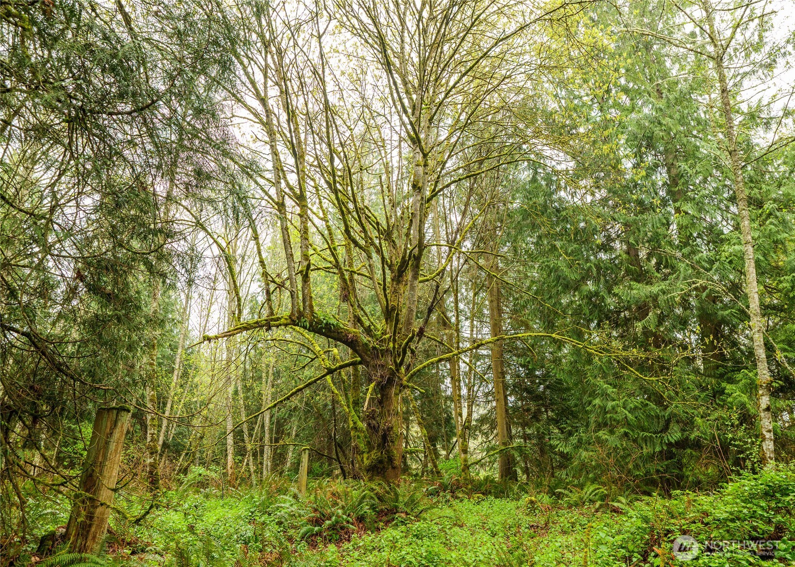 313 Weston Parkway , Sequim, WA 98382