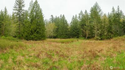 313 Weston Parkway , Sequim, WA 98382 - Photo 9