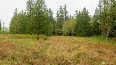 313 Weston Parkway , Sequim, WA 98382 - Photo 10
