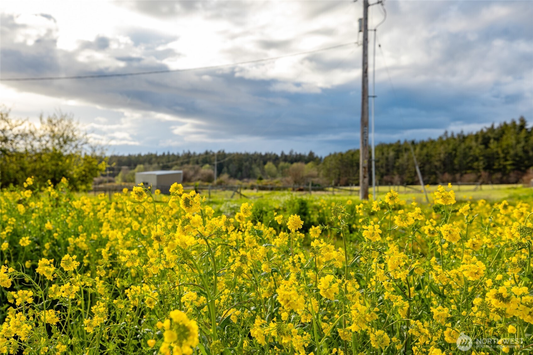 2010 Sweetbriar Lane , Oak Harbor, WA 98277