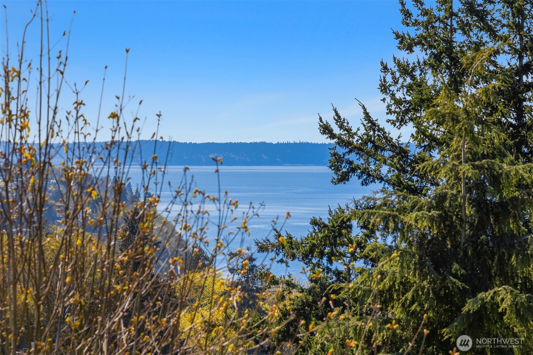 28602 16th Avenue S #301, Federal Way, WA 98003-6116