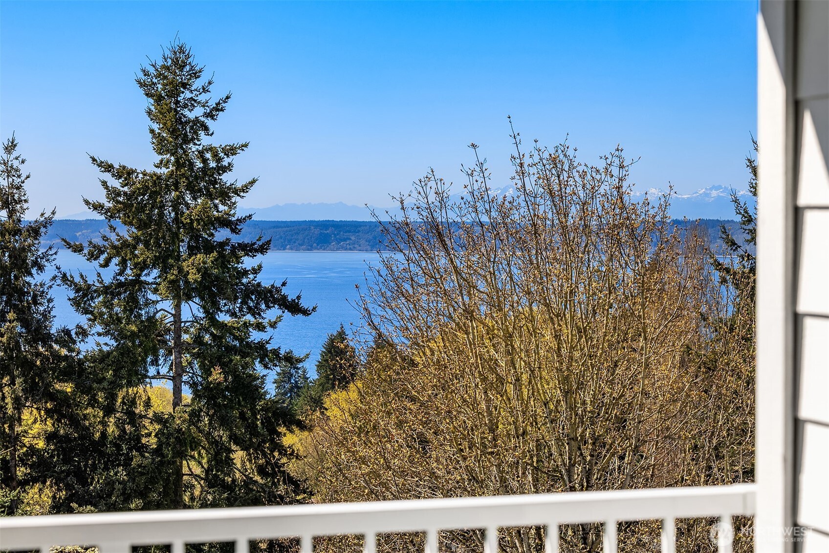 28602 16th Avenue S #301, Federal Way, WA 98003-6116