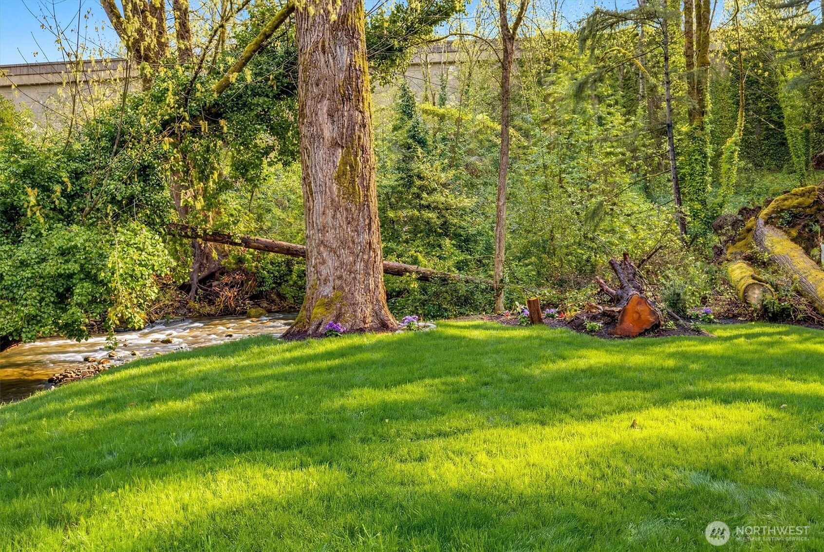 560 NE Alder Street , Issaquah, WA 98027