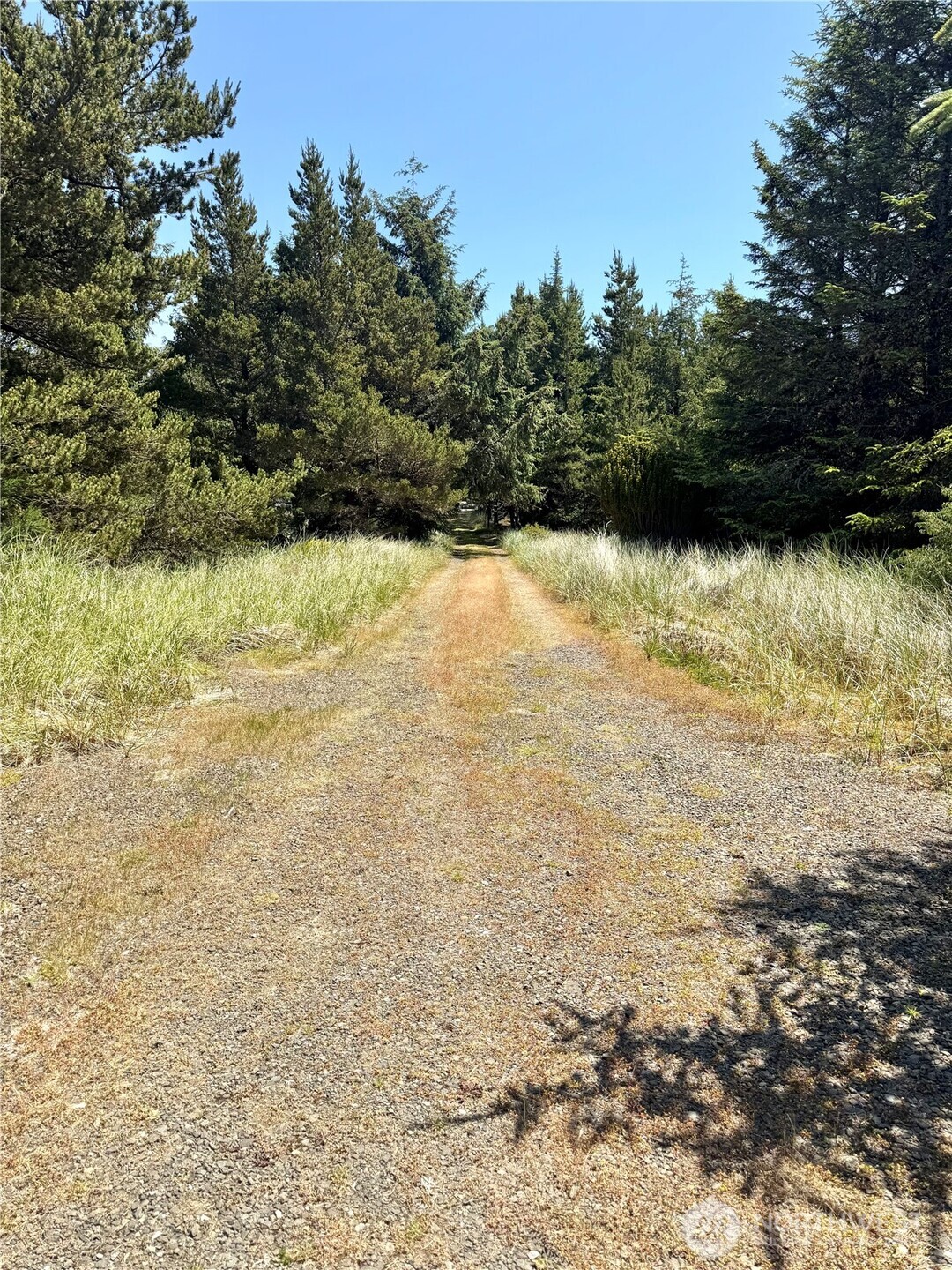 15217 Pacific Way , Long Beach, WA 98631
