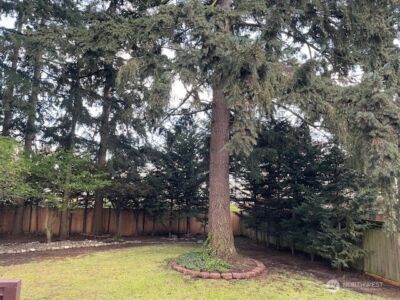 9614 175th Street Court East , Puyallup, WA 98375 - Photo 28