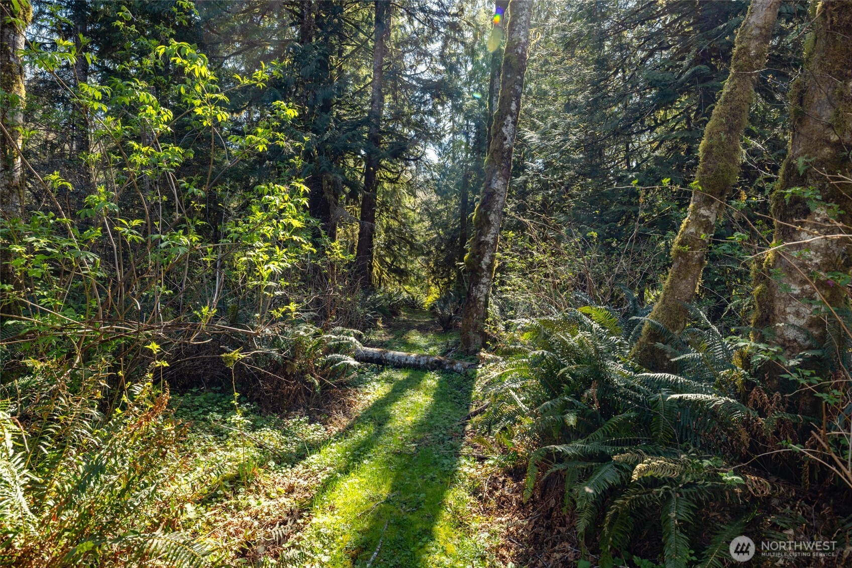 28946 S Skagit Highway , Sedro Woolley, WA 98284