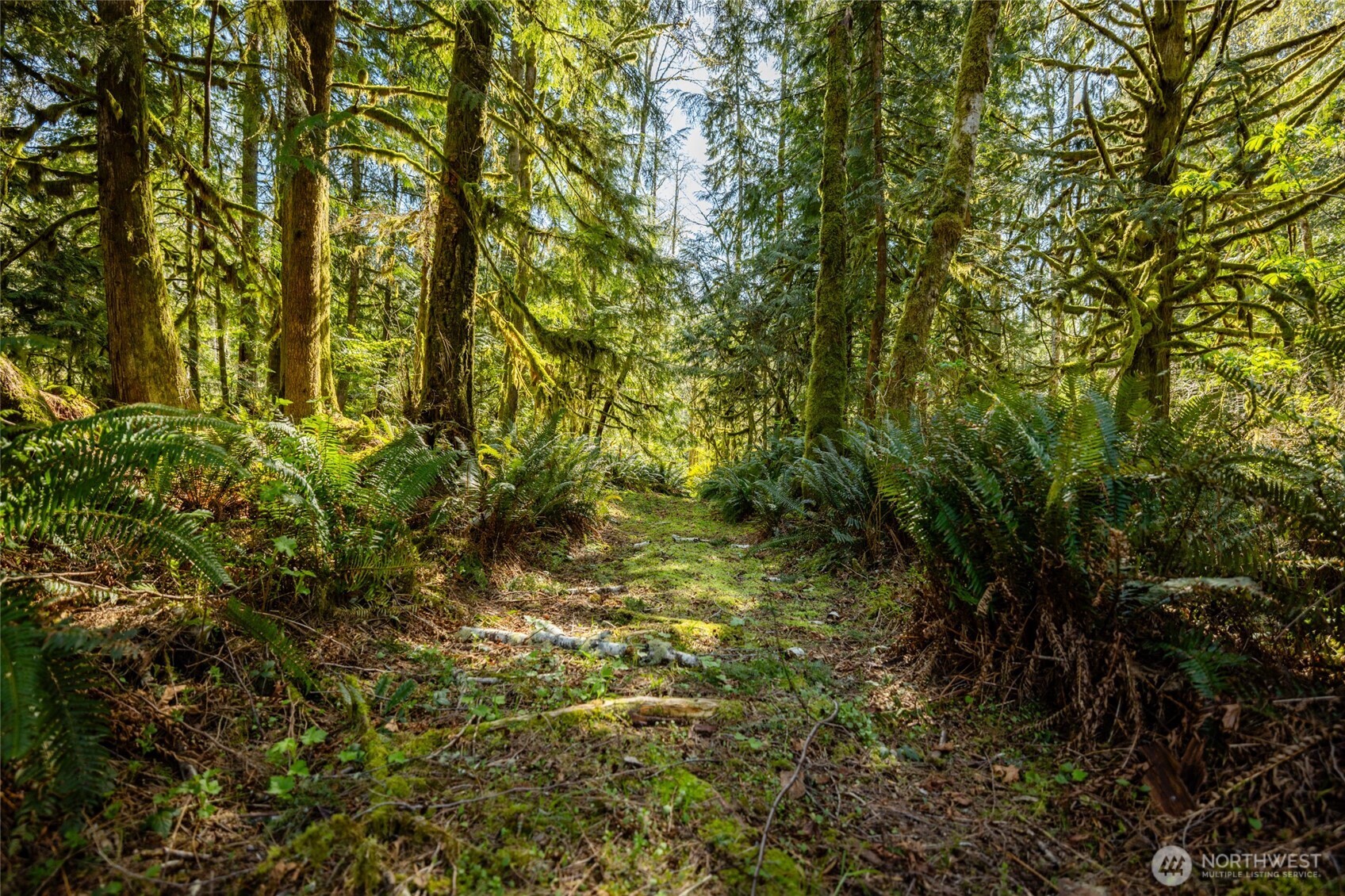 28946 S Skagit Highway , Sedro Woolley, WA 98284