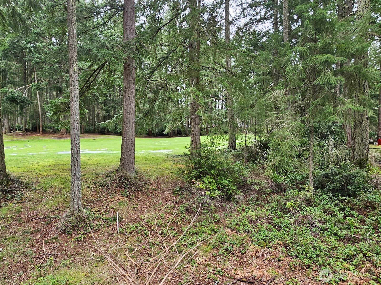 11005 Pioneer Drive , Anderson Island, WA 98303