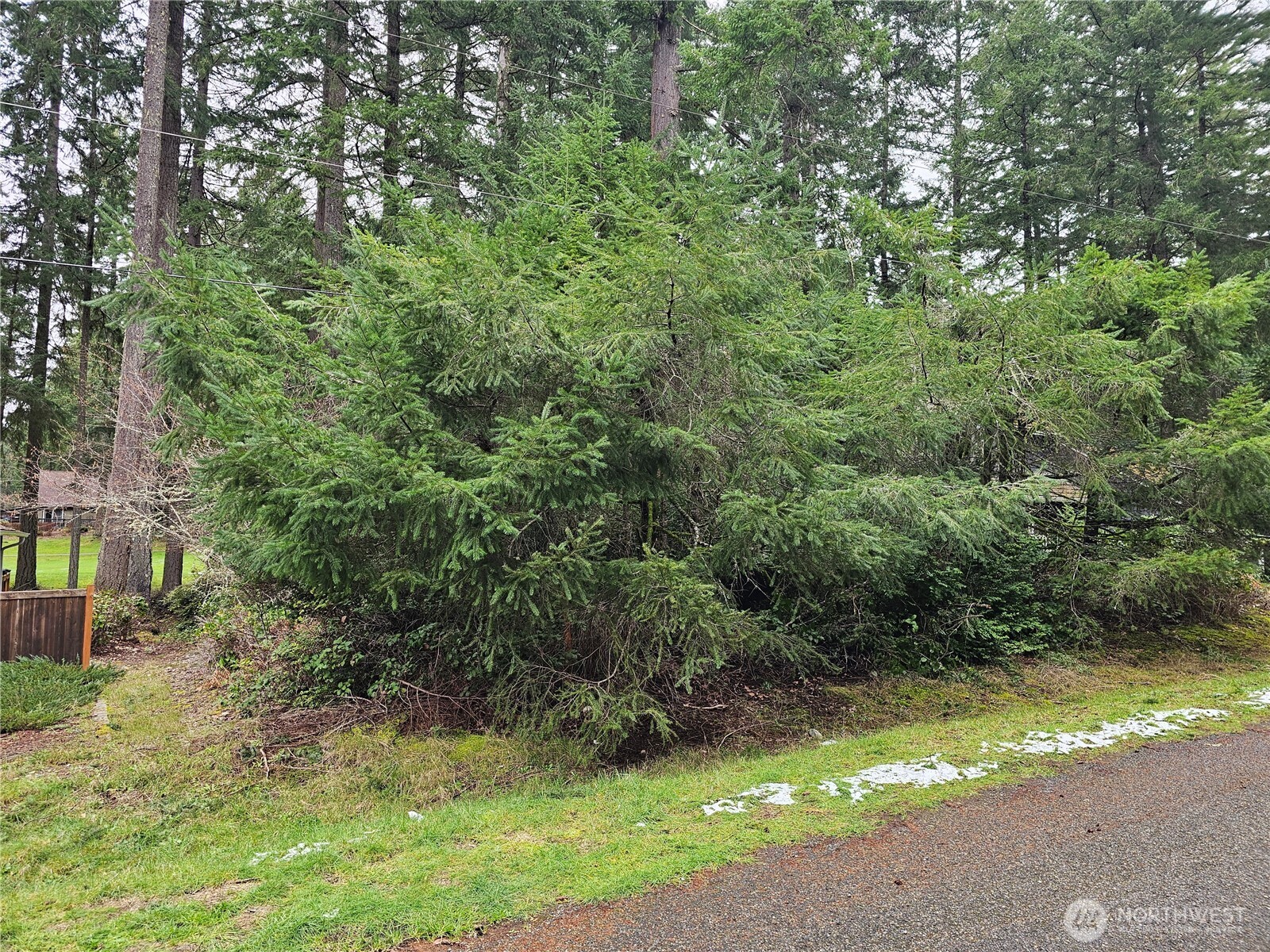 11005 Pioneer Drive , Anderson Island, WA 98303