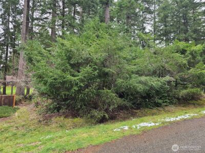 11005 Pioneer Drive , Anderson Island, WA 98303 - Photo 2