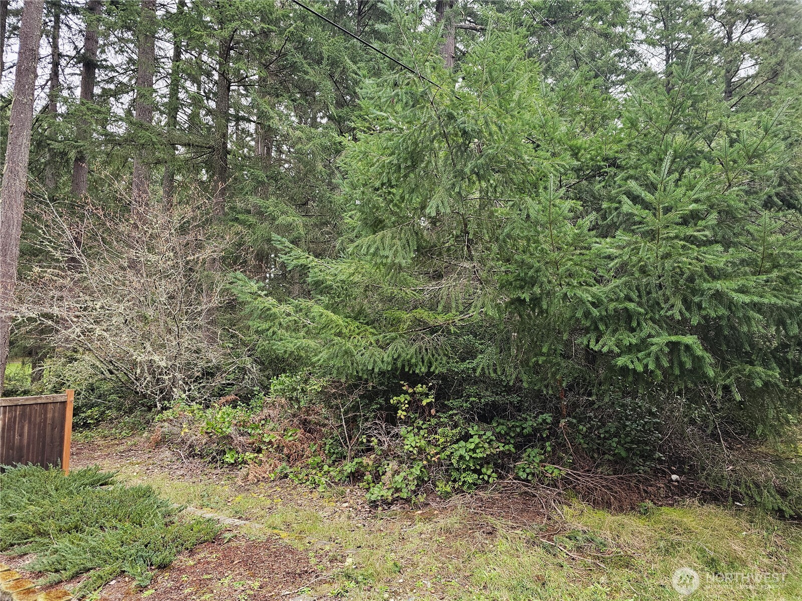 11005 Pioneer Drive , Anderson Island, WA 98303
