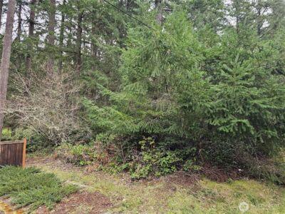 11005 Pioneer Drive , Anderson Island, WA 98303 - Photo 3
