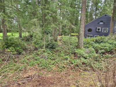 11005 Pioneer Drive , Anderson Island, WA 98303 - Photo 4