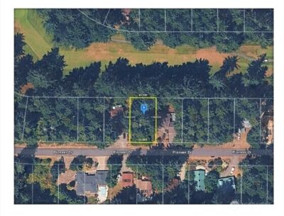 11005 Pioneer Drive , Anderson Island, WA 98303 - Photo 6