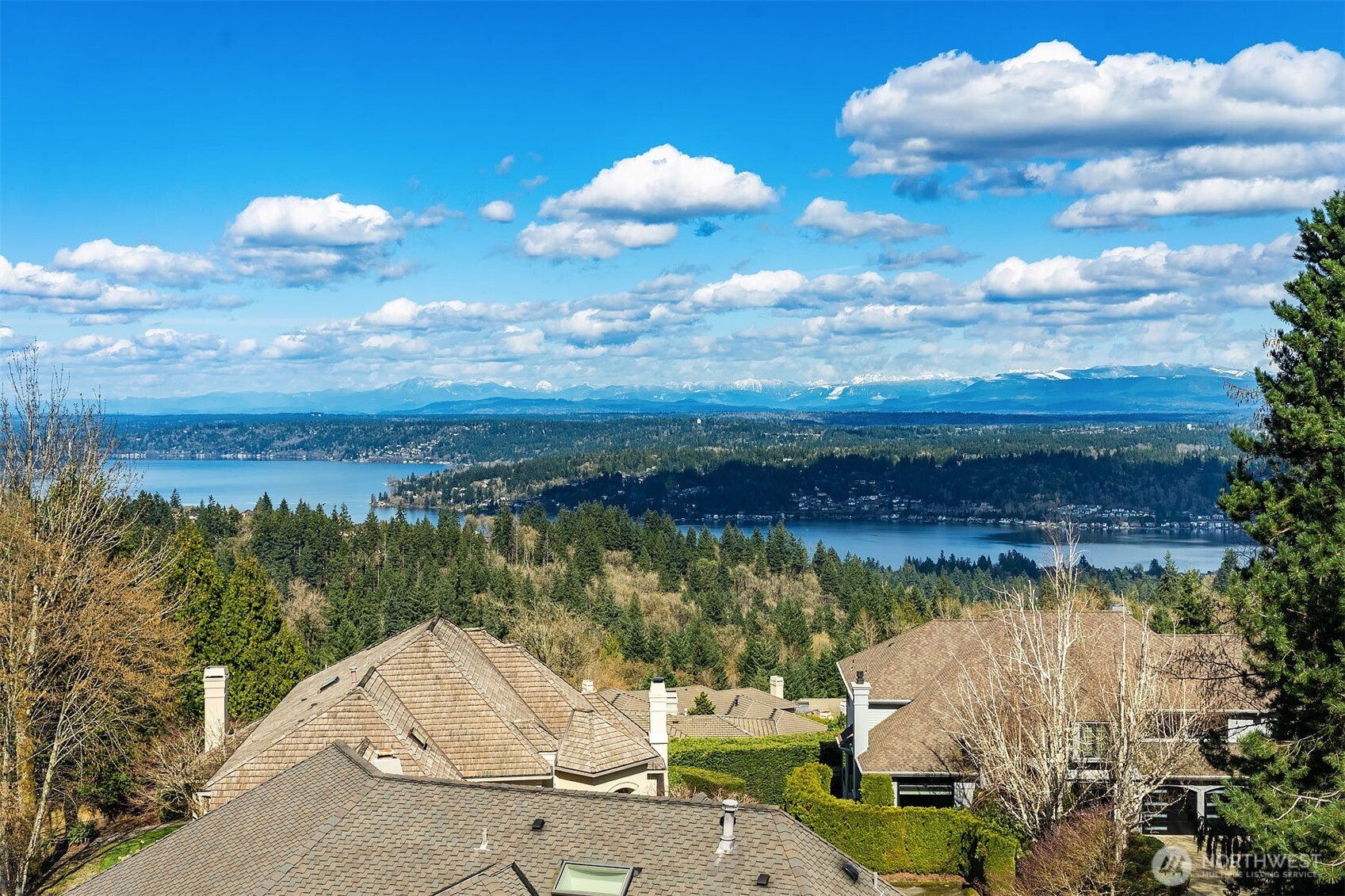 17120 SE 58th Street , Bellevue, WA 98006