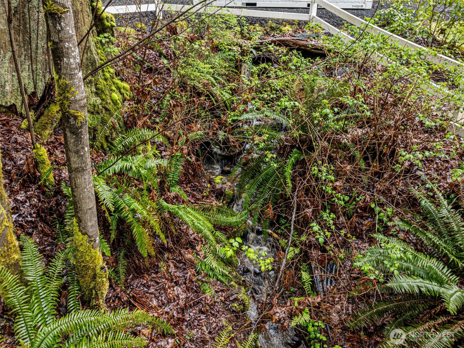 22371 Miller Bay Road NE, Poulsbo, WA 98370