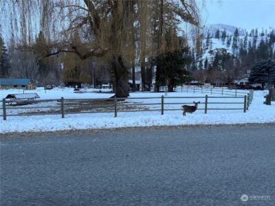 0 XX5 N Main Street , Conconully, WA 98819 - Photo 10
