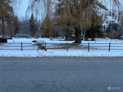 0 XX6 N Main Street , Conconully, WA 98819 - Photo 12