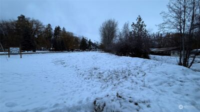 0 XX6 N Main Street , Conconully, WA 98819 - Photo 19