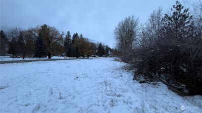 0 XX6 N Main Street , Conconully, WA 98819 - Photo 22