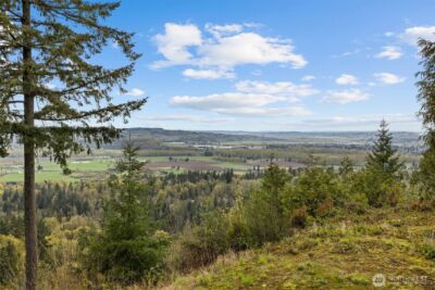 19330 208th Avenue SE, Monroe, WA 98272 - Photo 7
