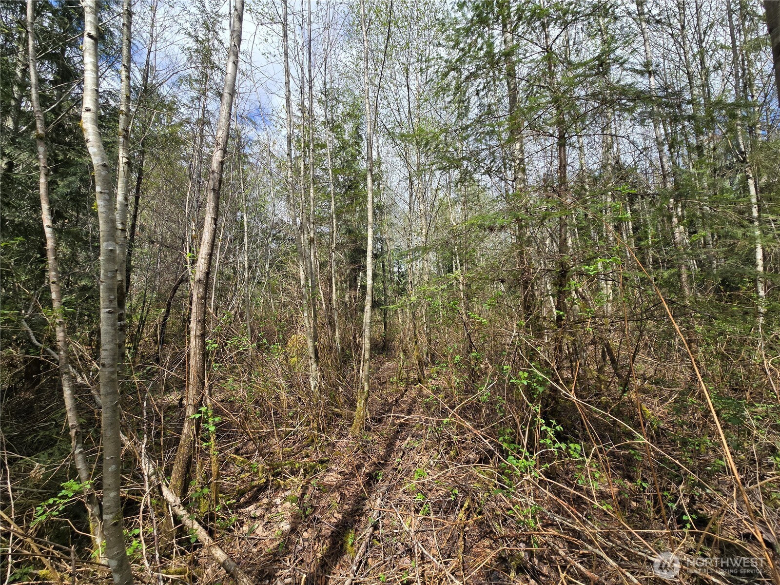 30 xxx NE Big Rock Road , Duvall, WA 98019