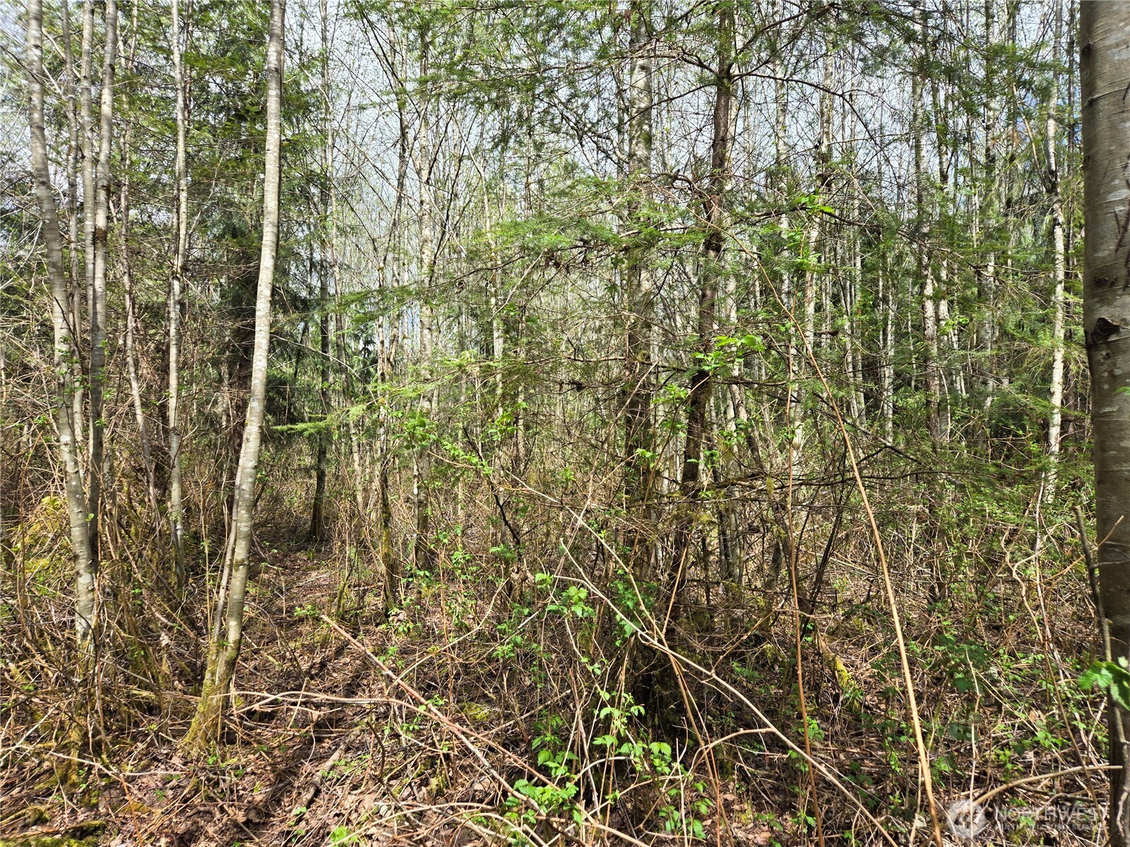 30 xxx NE Big Rock Road , Duvall, WA 98019