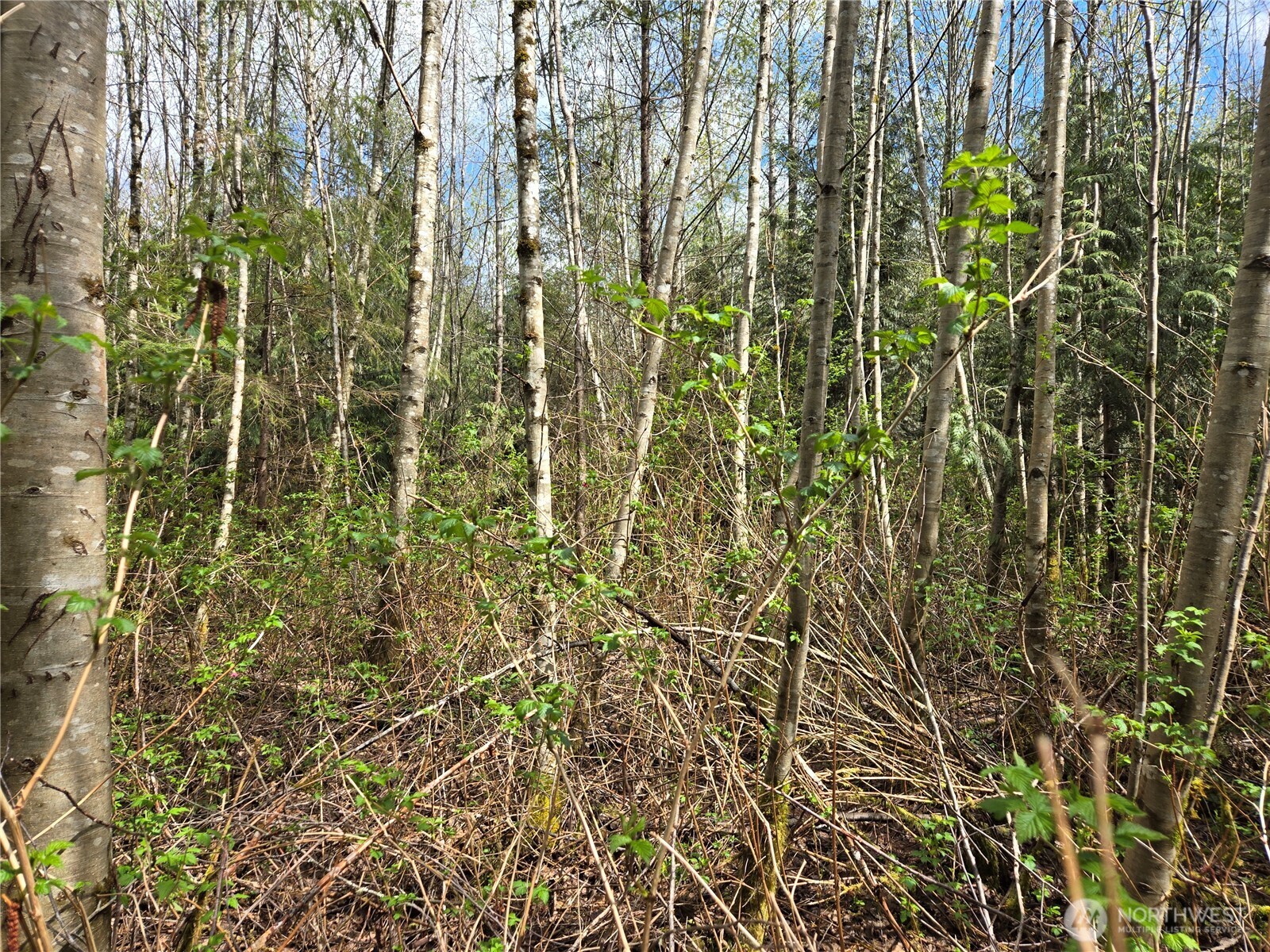 30 xxx NE Big Rock Road , Duvall, WA 98019