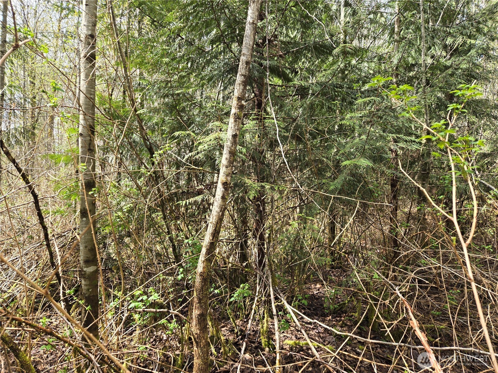 30 xxx NE Big Rock Road , Duvall, WA 98019