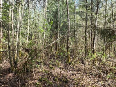 30 xxx NE Big Rock Road , Duvall, WA 98019 - Photo 15