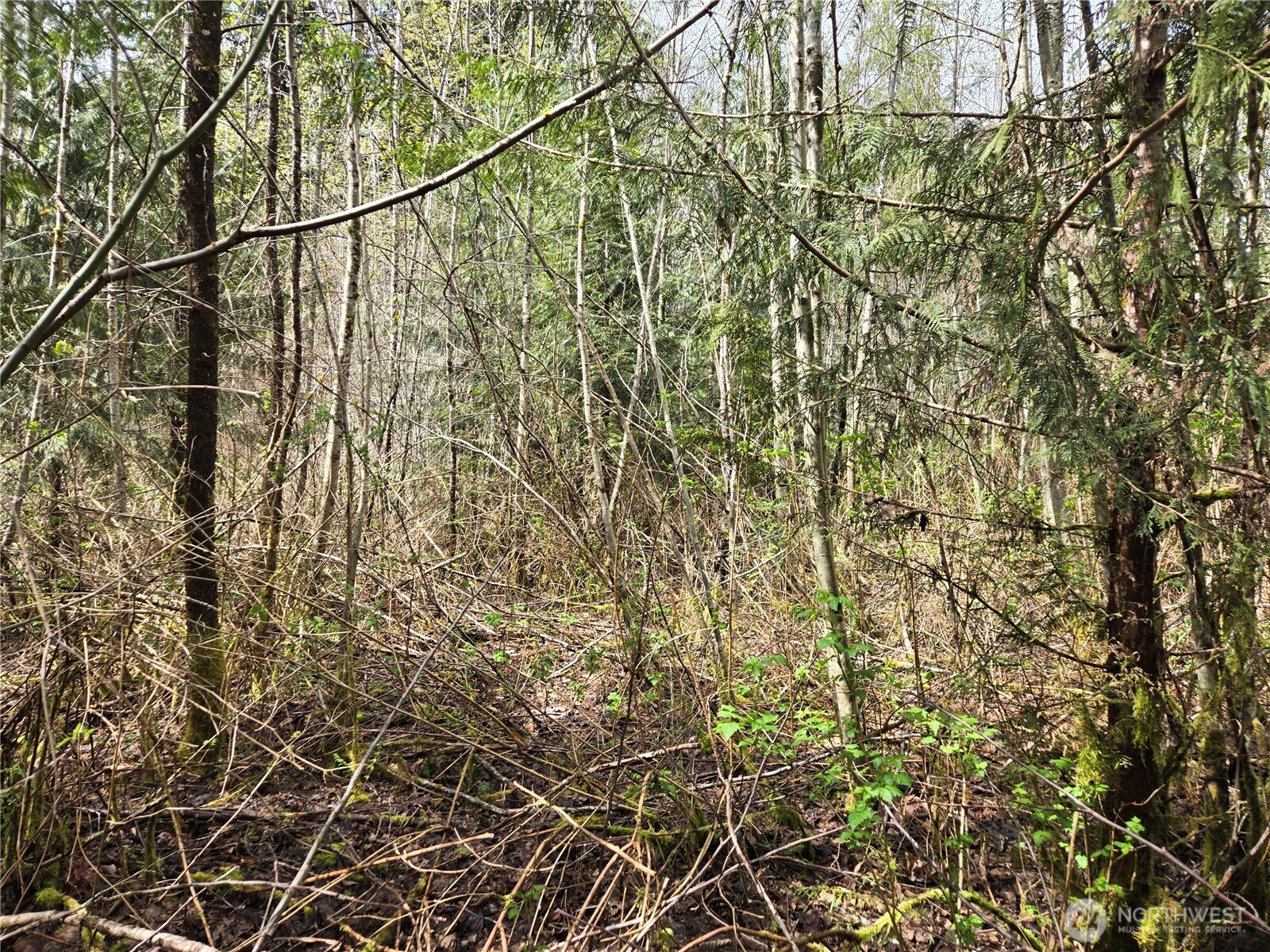 30 xxx NE Big Rock Road , Duvall, WA 98019