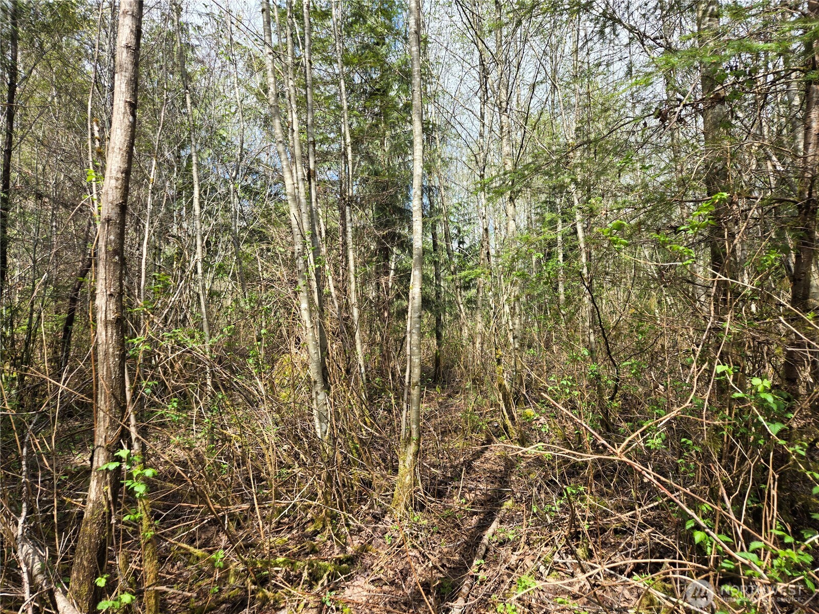 30 xxx NE Big Rock Road , Duvall, WA 98019