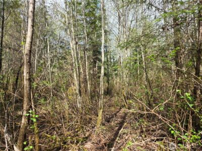 30 xxx NE Big Rock Road , Duvall, WA 98019 - Photo 17
