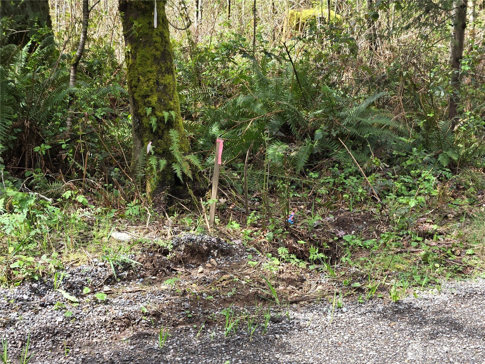 30 xxx NE Big Rock Road , Duvall, WA 98019