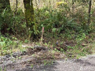 30 xxx NE Big Rock Road , Duvall, WA 98019 - Photo 18