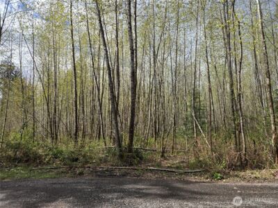 30 xxx NE Big Rock Road , Duvall, WA 98019 - Photo 19