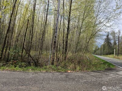 30 xxx NE Big Rock Road , Duvall, WA 98019 - Photo 20
