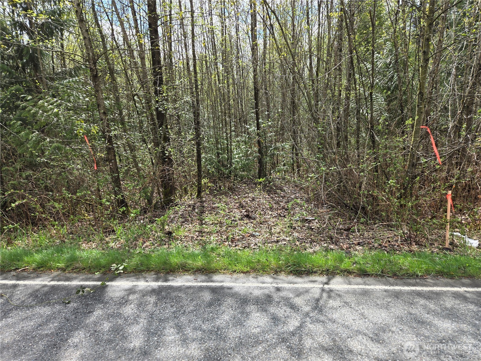 30 xxx NE Big Rock Road , Duvall, WA 98019