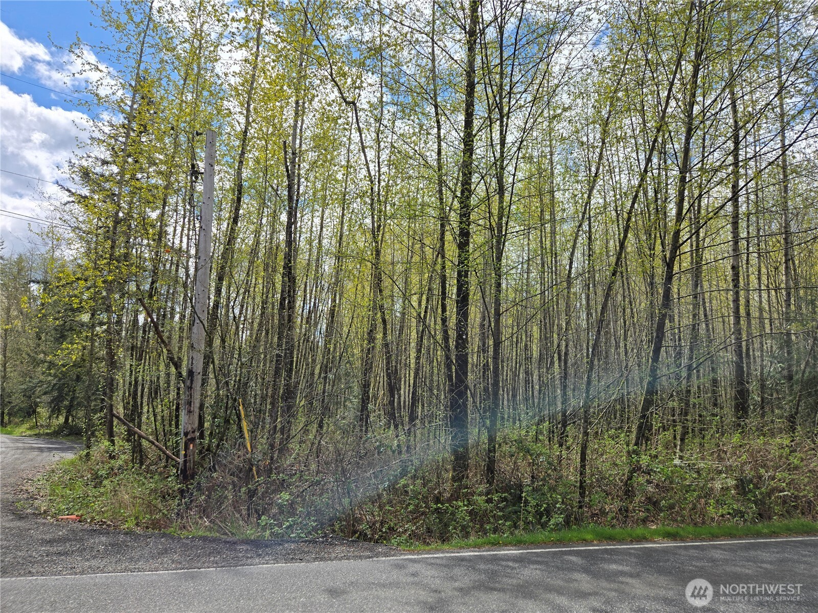 30 xxx NE Big Rock Road , Duvall, WA 98019