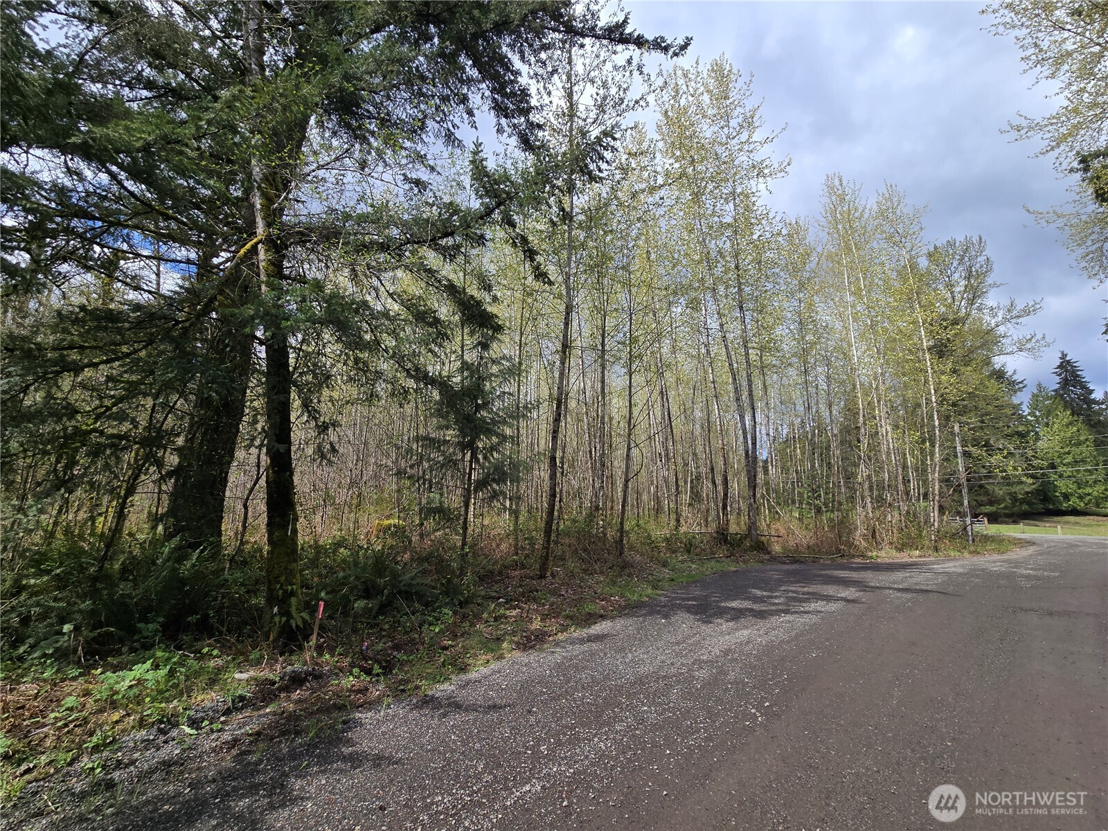 30 xxx NE Big Rock Road , Duvall, WA 98019