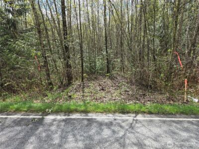 30 xxx NE Big Rock Road , Duvall, WA 98019 - Photo 3