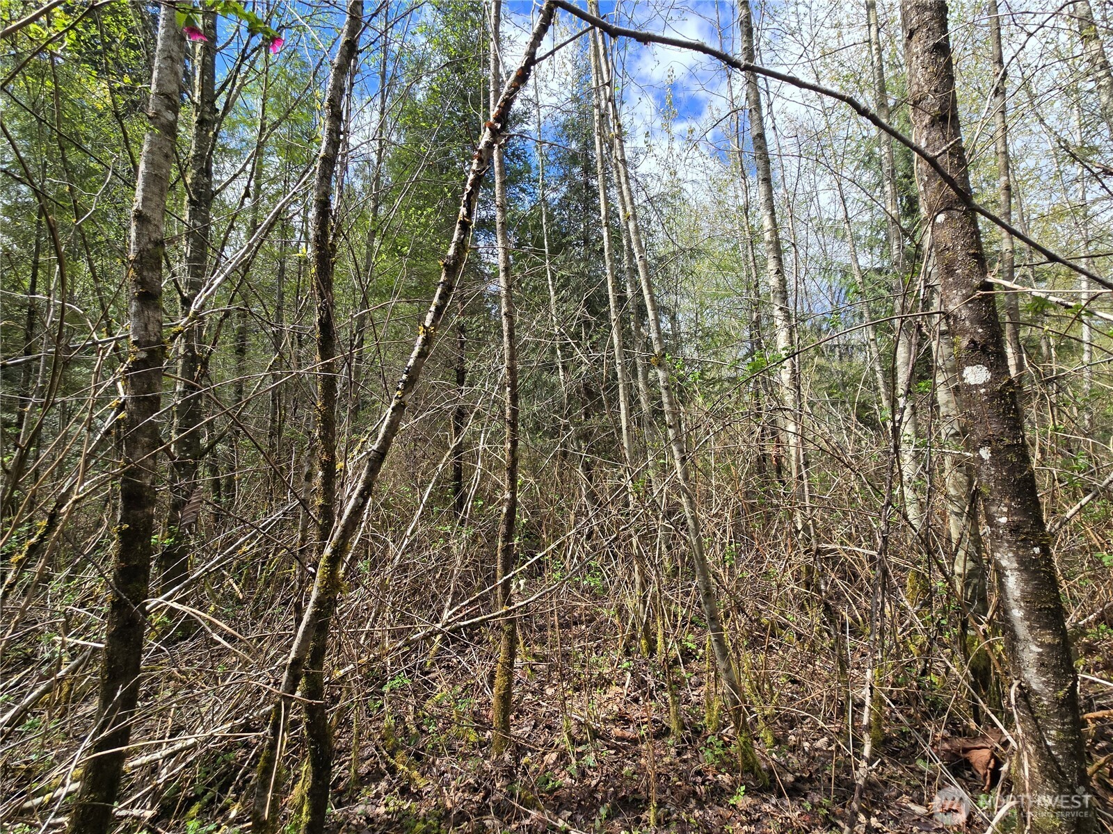 30 xxx NE Big Rock Road , Duvall, WA 98019