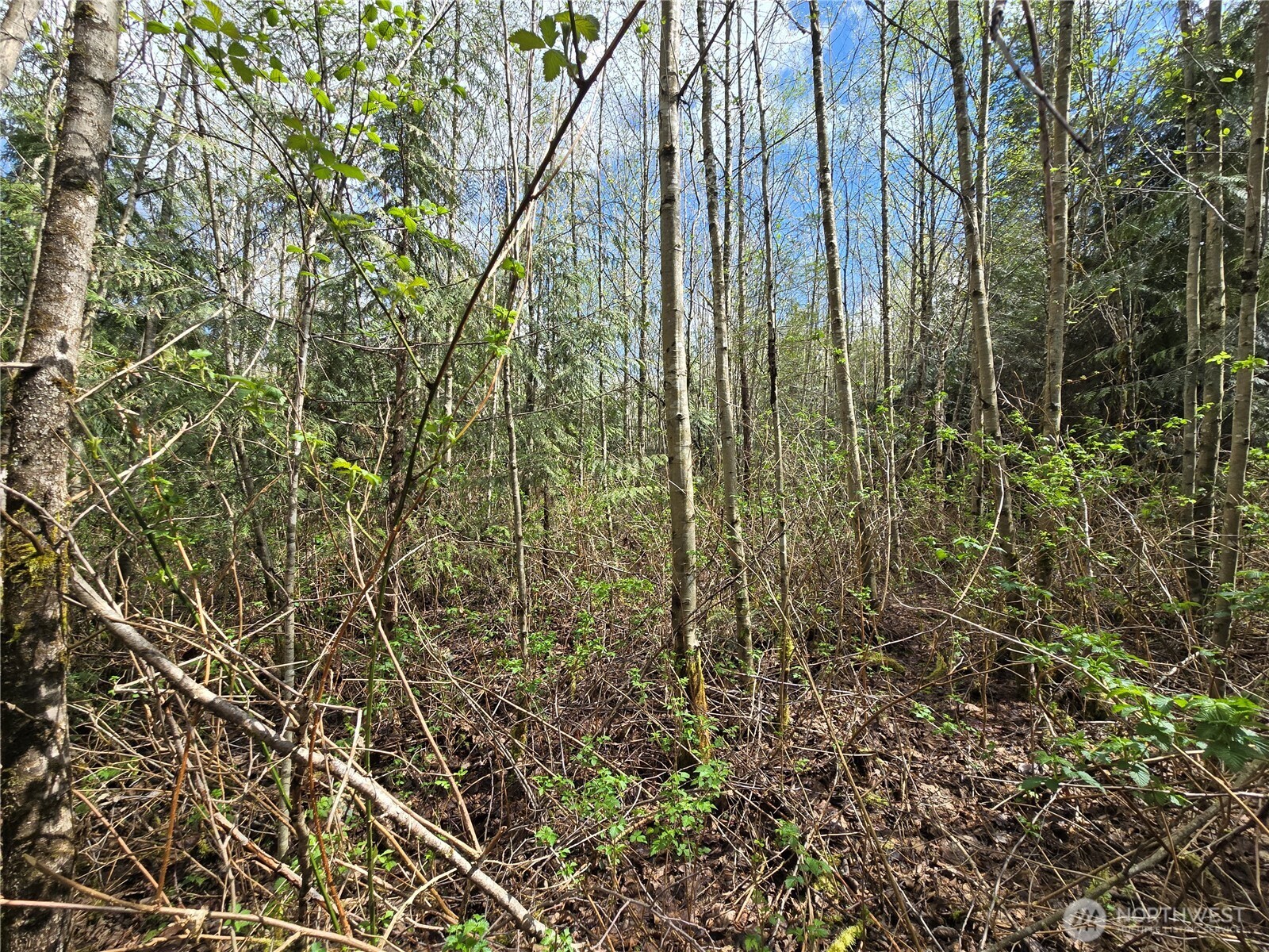 30 xxx NE Big Rock Road , Duvall, WA 98019