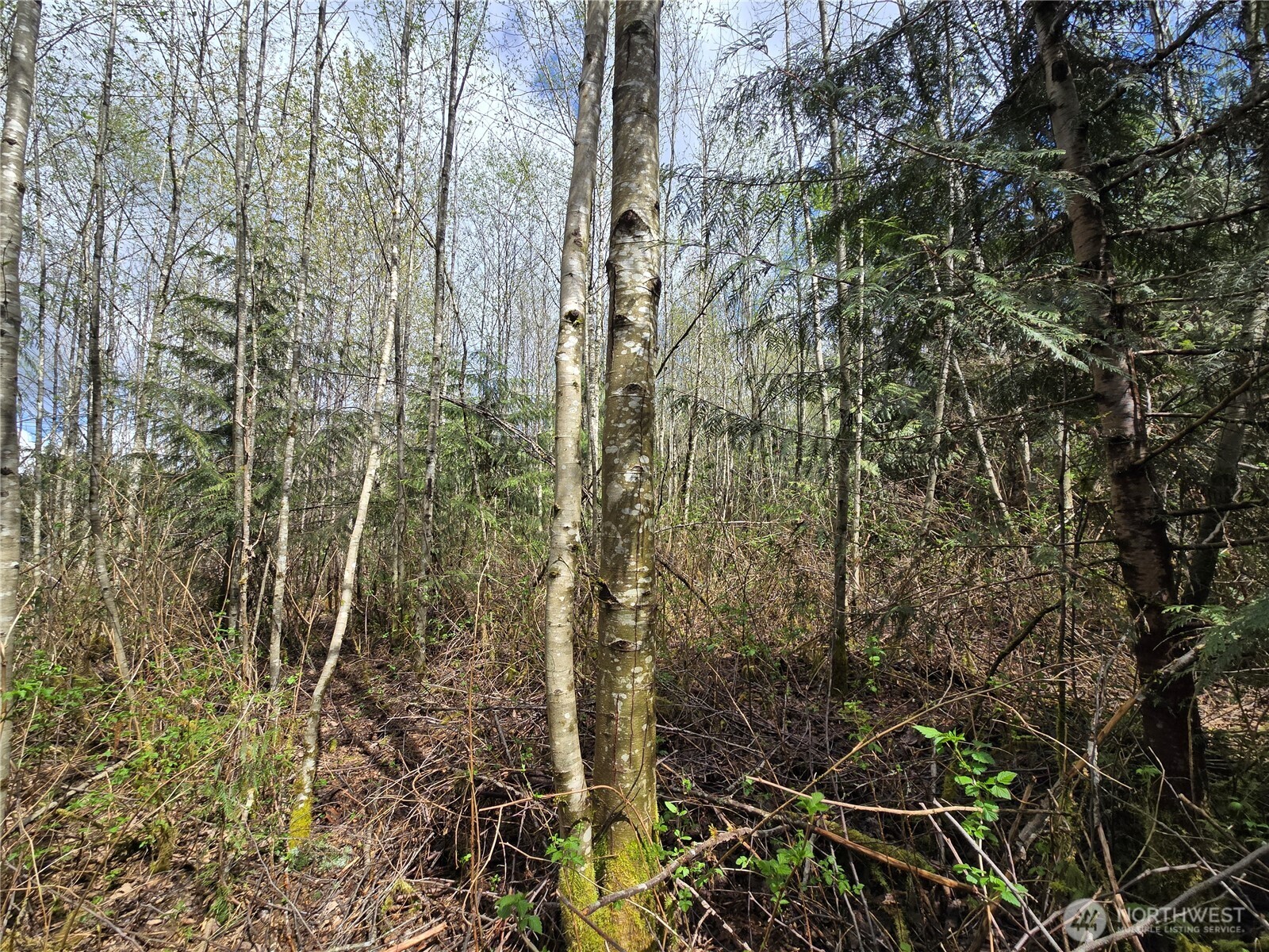 30 xxx NE Big Rock Road , Duvall, WA 98019