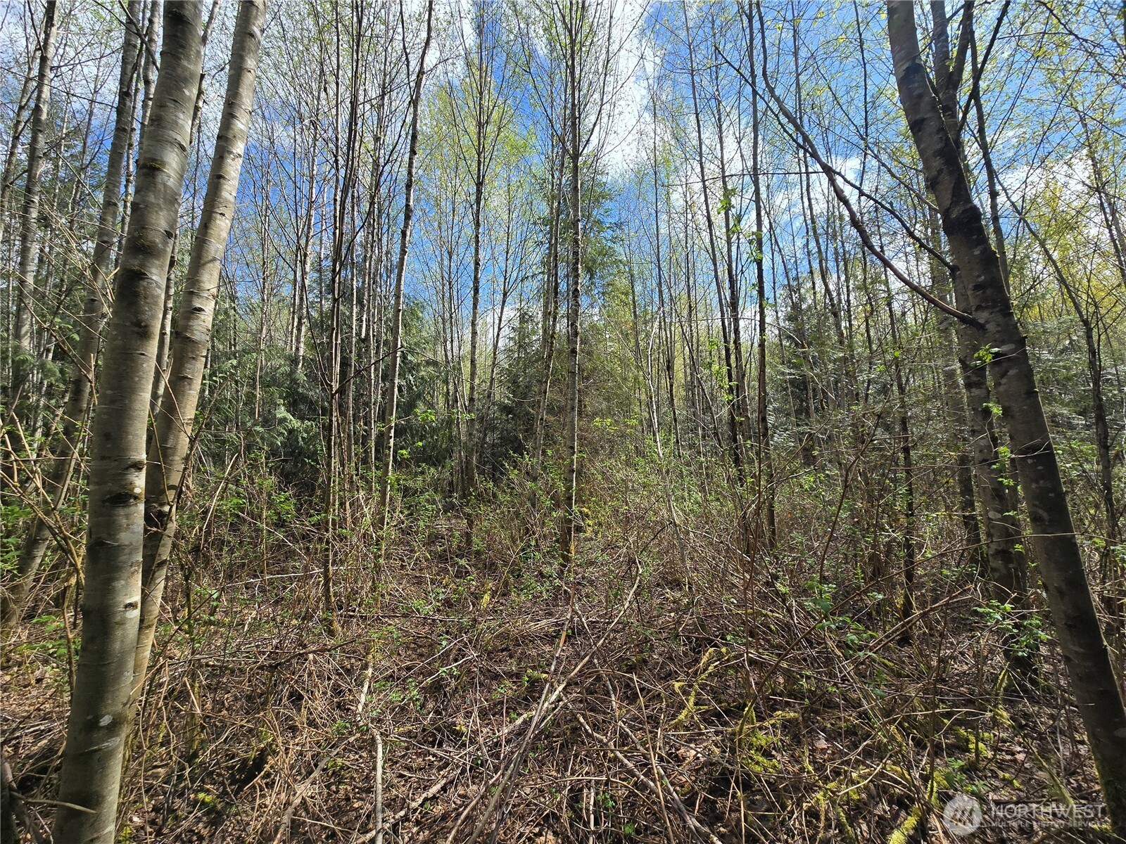 30 xxx NE Big Rock Road , Duvall, WA 98019