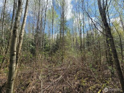 30 xxx NE Big Rock Road , Duvall, WA 98019 - Photo 10