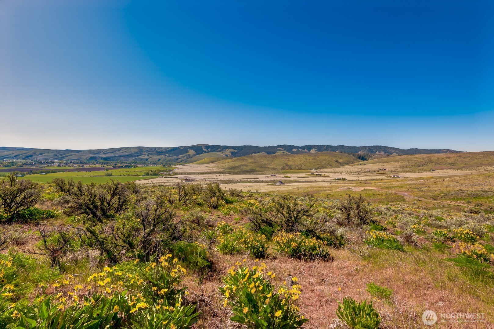 1 CXX Ridge Road , Ellensburg, WA 98926