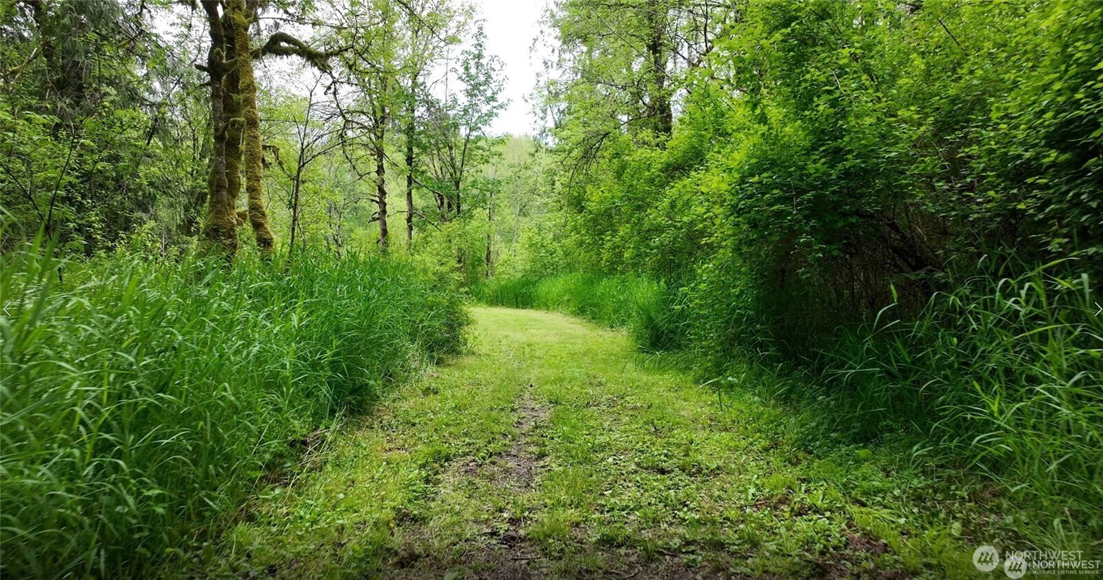 209 Alpha Way , Onalaska, WA 98570