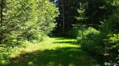 209 Alpha Way , Onalaska, WA 98570 - Photo 35